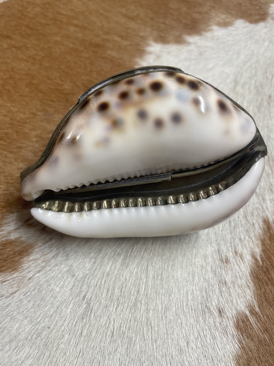 Cypraea Tigris Shell Box Mounted In Silver-plated Metal – Curiosity Piece, Late 19th Century -photo-2