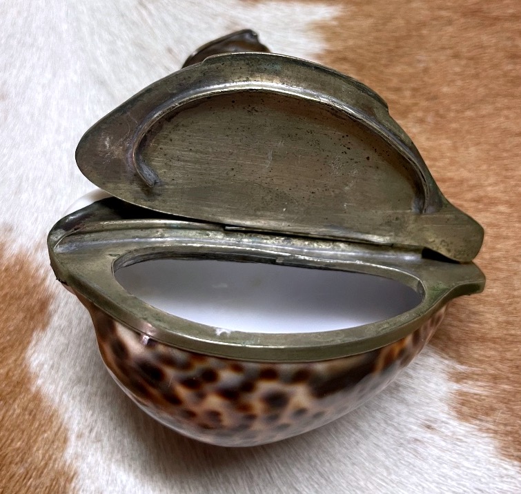 Cypraea Tigris Shell Box Mounted In Silver-plated Metal – Curiosity Piece, Late 19th Century -photo-4