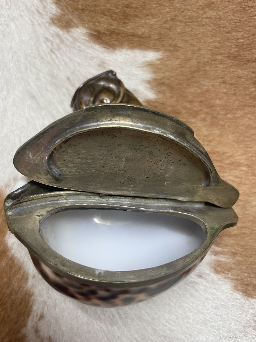Cypraea Tigris Shell Box Mounted In Silver-plated Metal – Curiosity Piece, Late 19th Century -photo-1