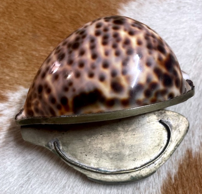 Cypraea Tigris Shell Box Mounted In Silver-plated Metal – Curiosity Piece, Late 19th Century 