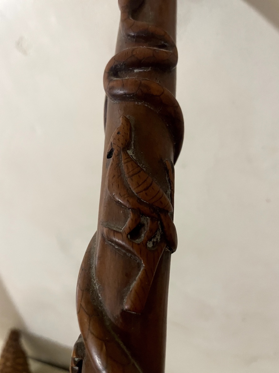 Carved, Single-piece Walking Stick With Animal And Figure Motifs – Snake And Dog's Head – -photo-1