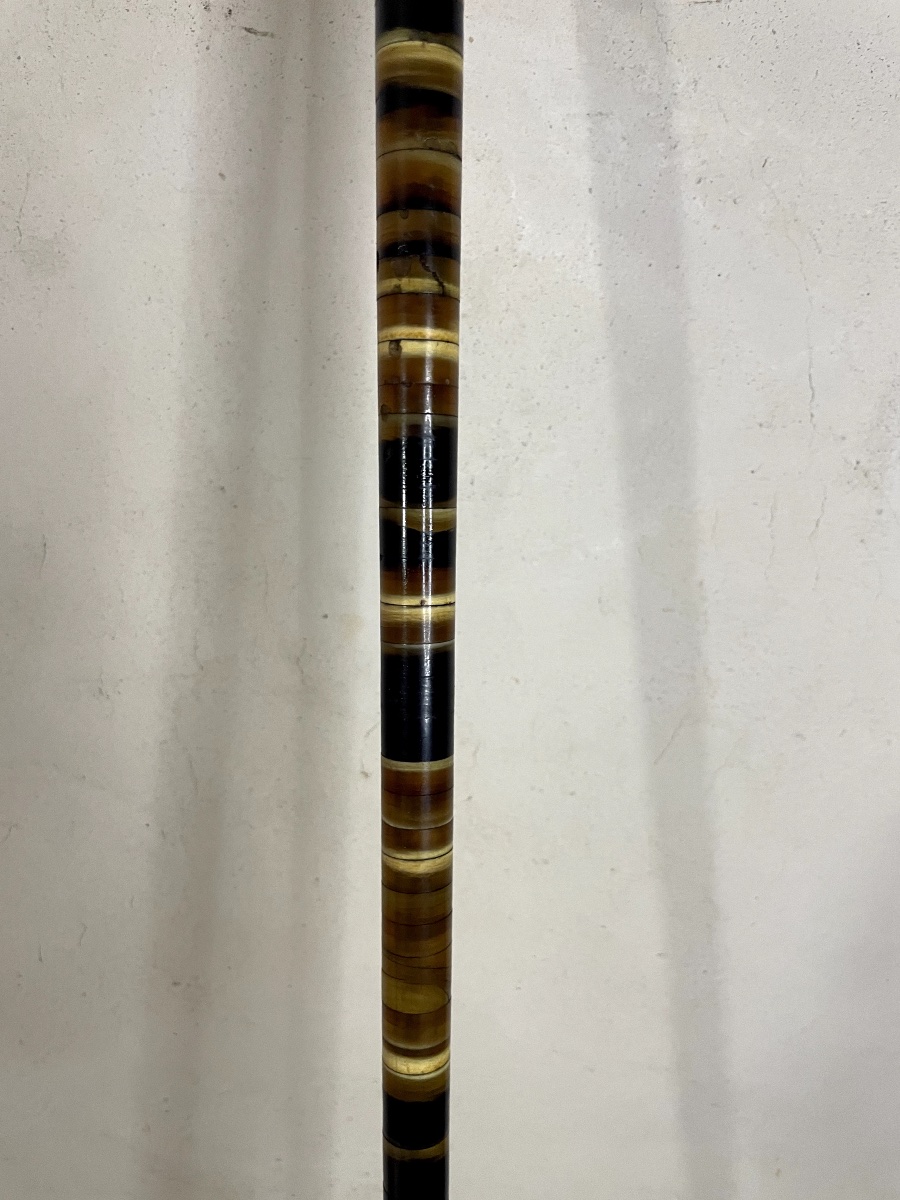 Antique Horn-disc Cane – Late 19th / Early 20th Century-photo-2