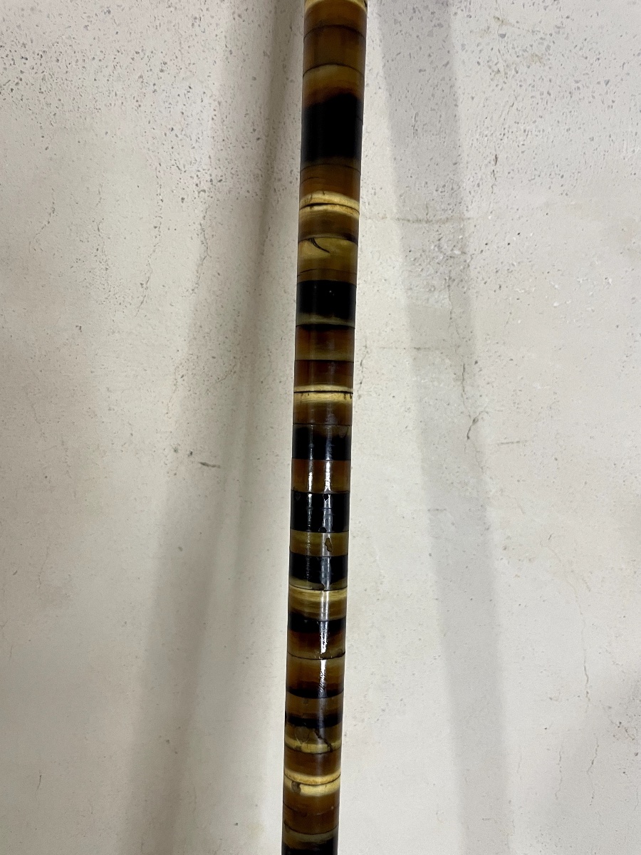 Antique Horn-disc Cane – Late 19th / Early 20th Century-photo-3