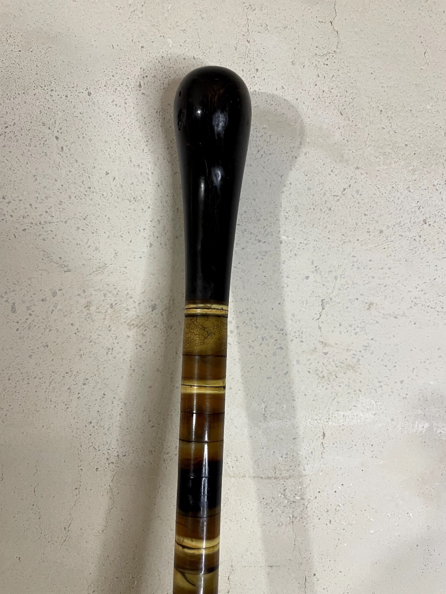 Antique Horn-disc Cane – Late 19th / Early 20th Century-photo-4