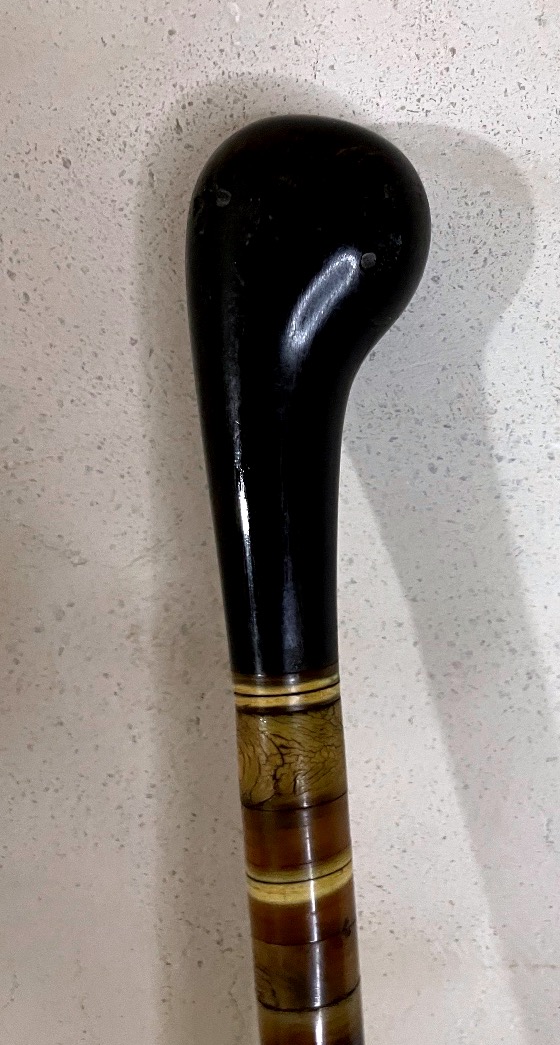 Antique Horn-disc Cane – Late 19th / Early 20th Century-photo-5