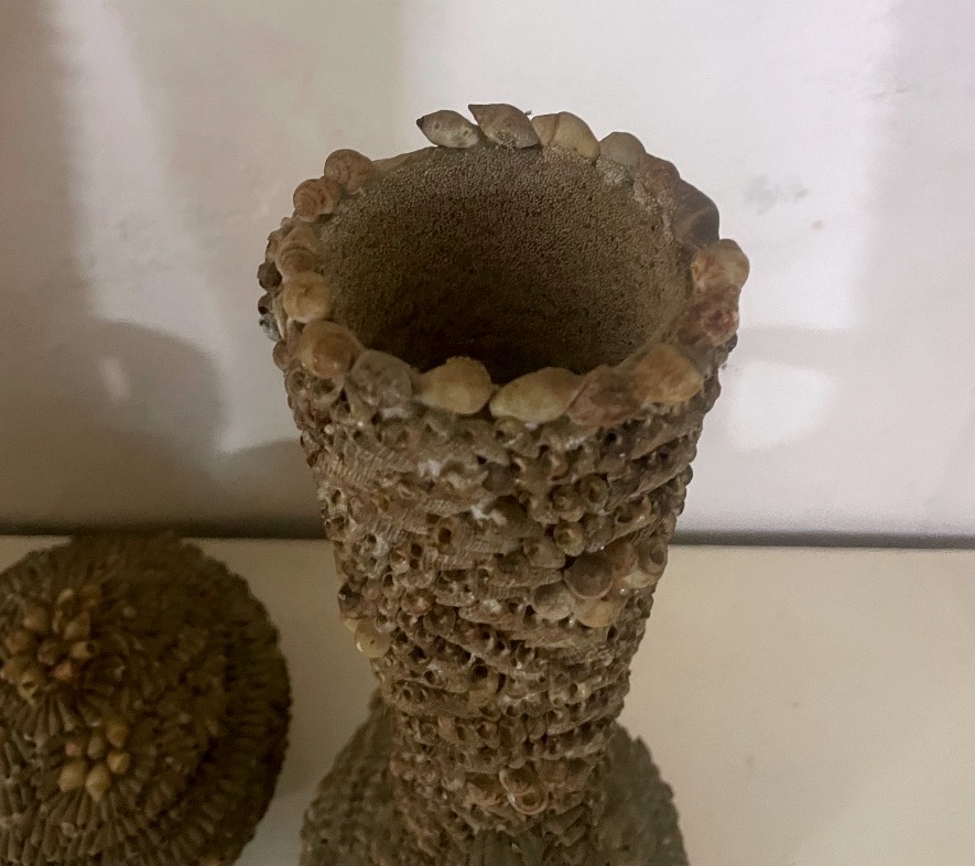 Three-piece Set In Terracotta And Shells – Maritime Folk Art – 20th Century-photo-6