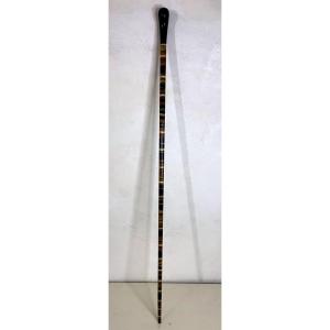 Antique Horn-disc Cane – Late 19th / Early 20th Century