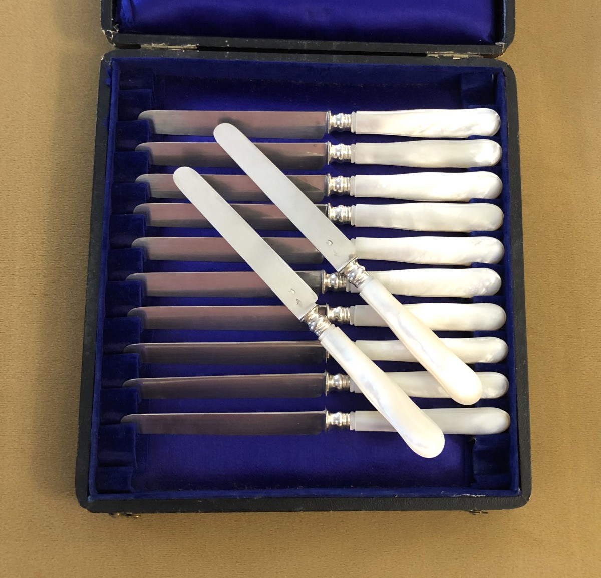 12 Fruit Knives, Solid Silver Blades Minerve Mother-of-pearl Handles