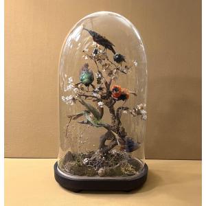 Cabinet de curiosité - composition d’oiseaux naturalisés sous globe en verre, XIXème siècle
