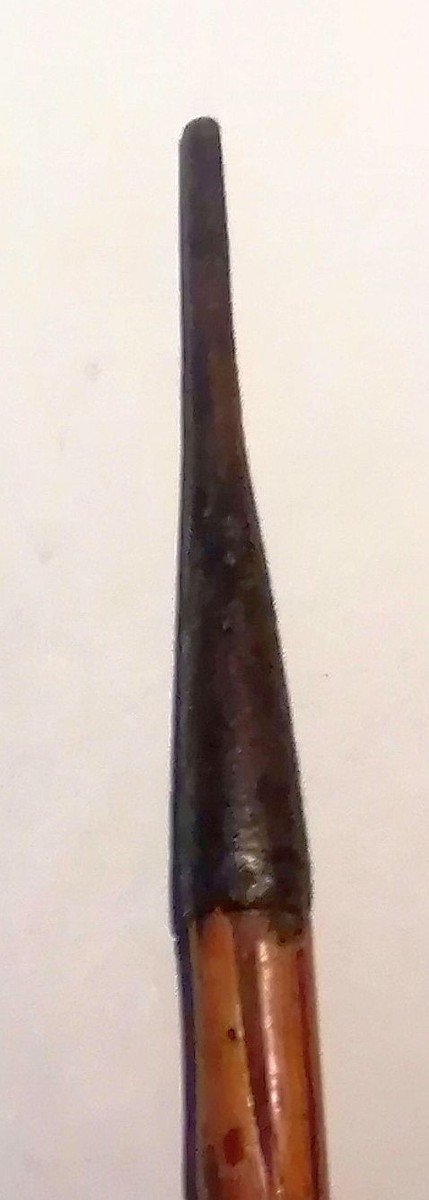 Old Mineralogist Geologist's Cane. Hazel Wood. Wrought Iron Pommel And Ferrule. XI-photo-2