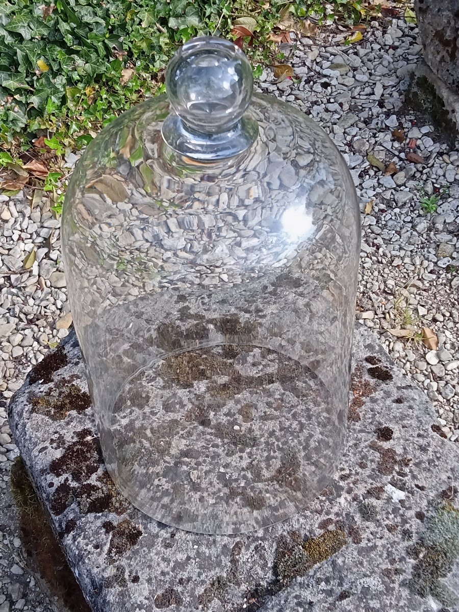 Blown Glass Laboratory Bell Jar. Circa 1900. Height 44 Cm.-photo-2