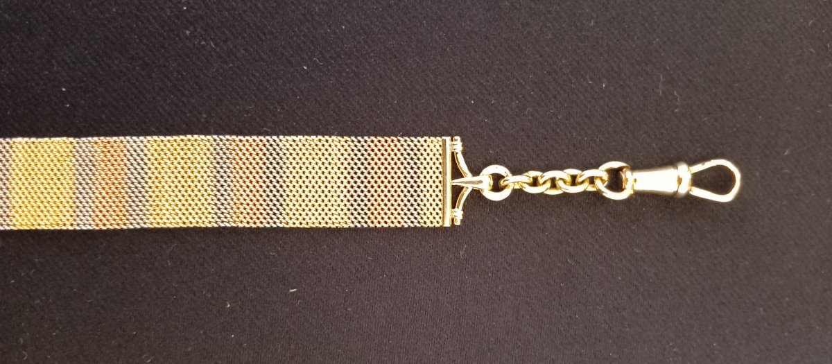 Watch Chain, 18-karat Tri-color Gold: Yellow, Gray, And Rose, Featuring A 1912 "20 Francs Au Coq" Coin-photo-2