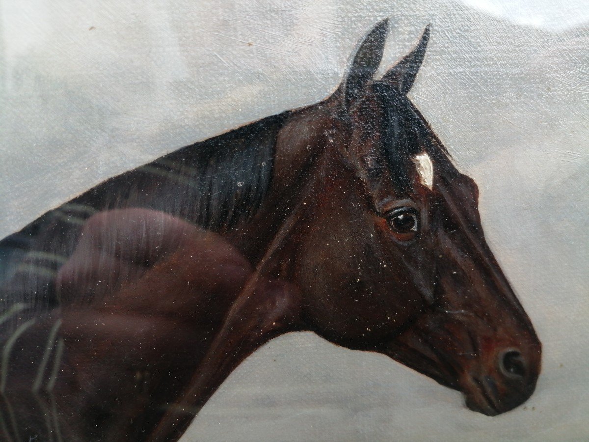 Huile Sur Toile 1912 Cheval Vade-mecum -photo-4