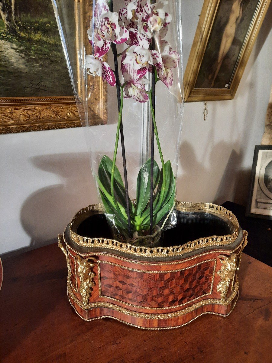 Louis 16 Style Planter In Marquetry From The Napoleon III Period