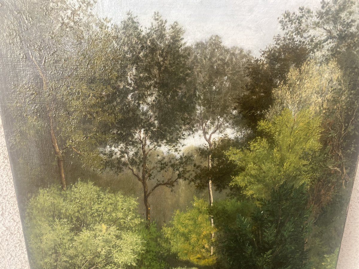 Huile sur toile, cours d'eau en sous bois, signé Ducrocq 1874-photo-3