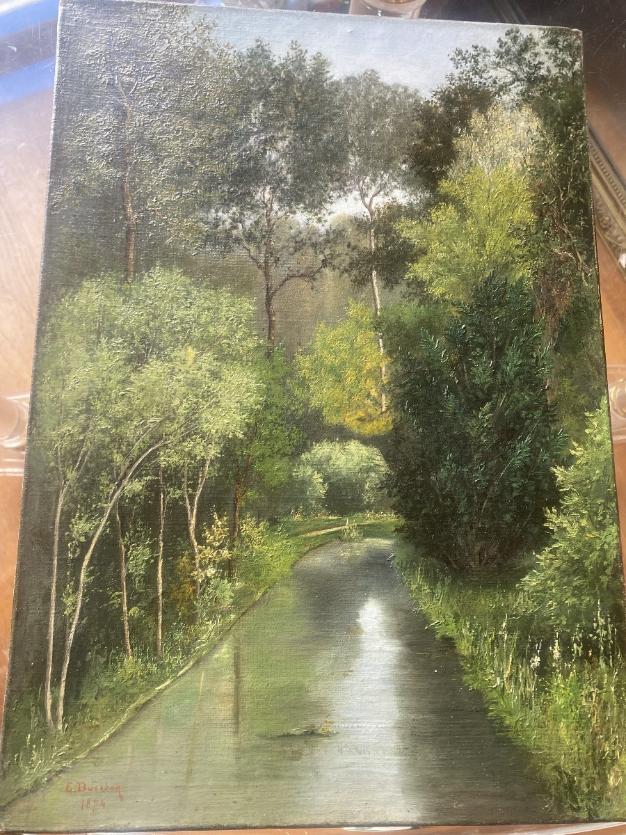 Huile sur toile, cours d'eau en sous bois, signé Ducrocq 1874