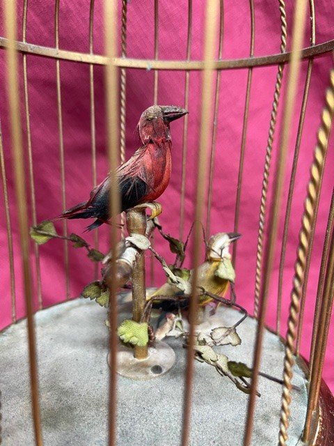 Musical Bird Cage Automaton In Golden Metal-photo-4