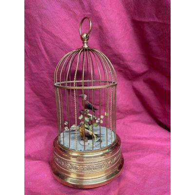 Musical Bird Cage Automaton In Golden Metal