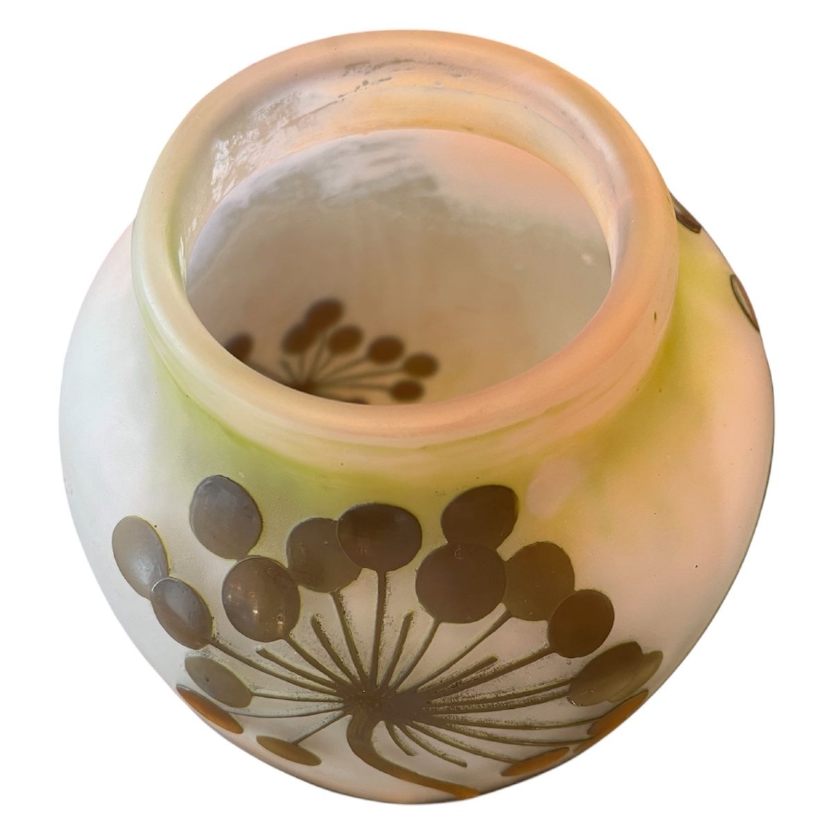 Vase Art nouveau Émile Gallé aux aralias du Japon-photo-2