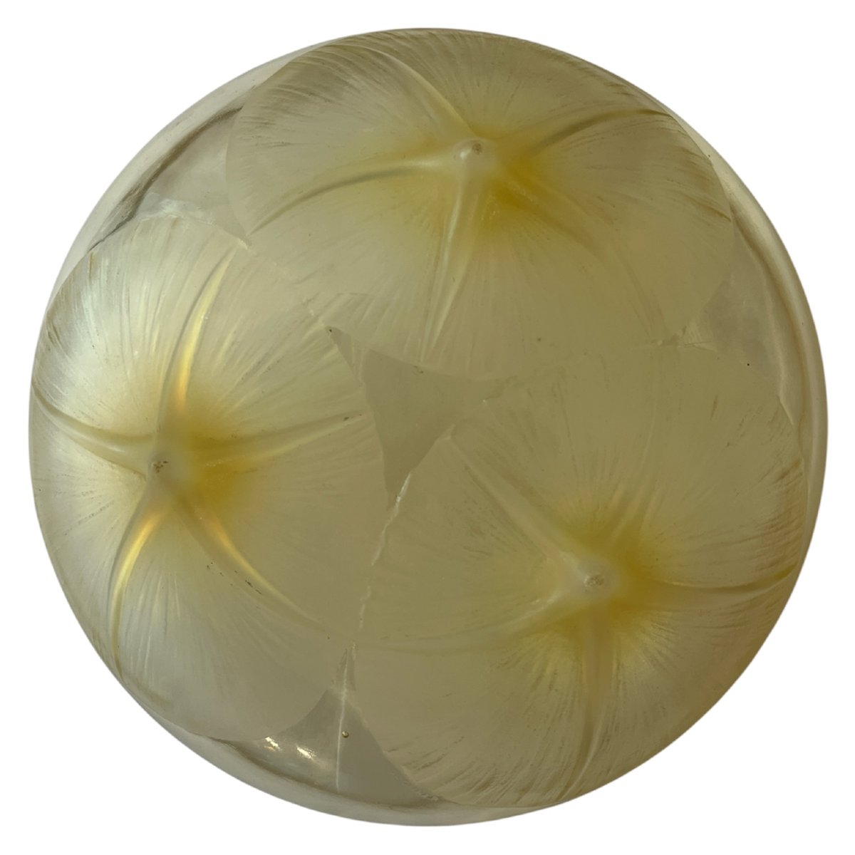 René Lalique Water Lily Glass-photo-2