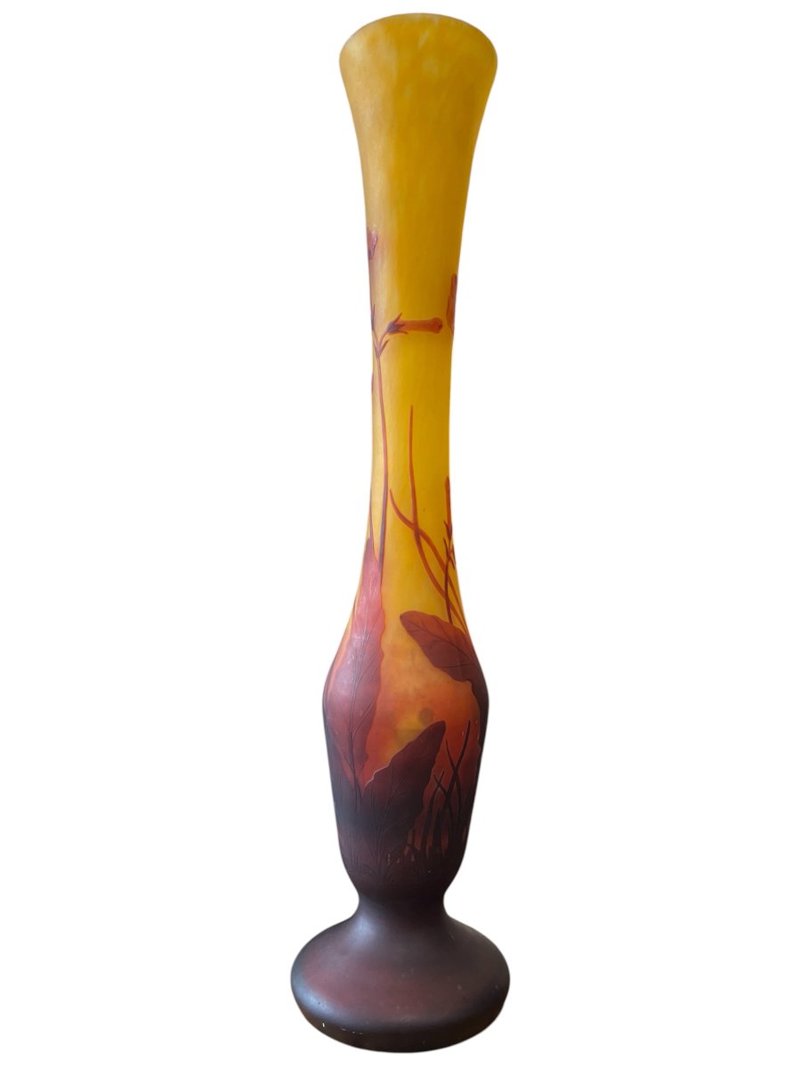 Vase Art nouveau Daum Nancy aux fleurs de tabac-photo-3