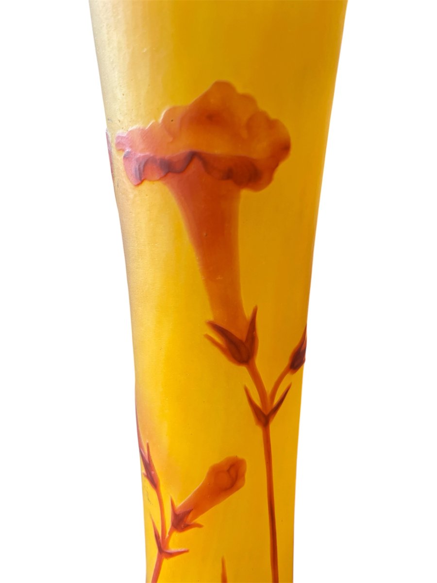 Vase Art nouveau Daum Nancy aux fleurs de tabac-photo-2