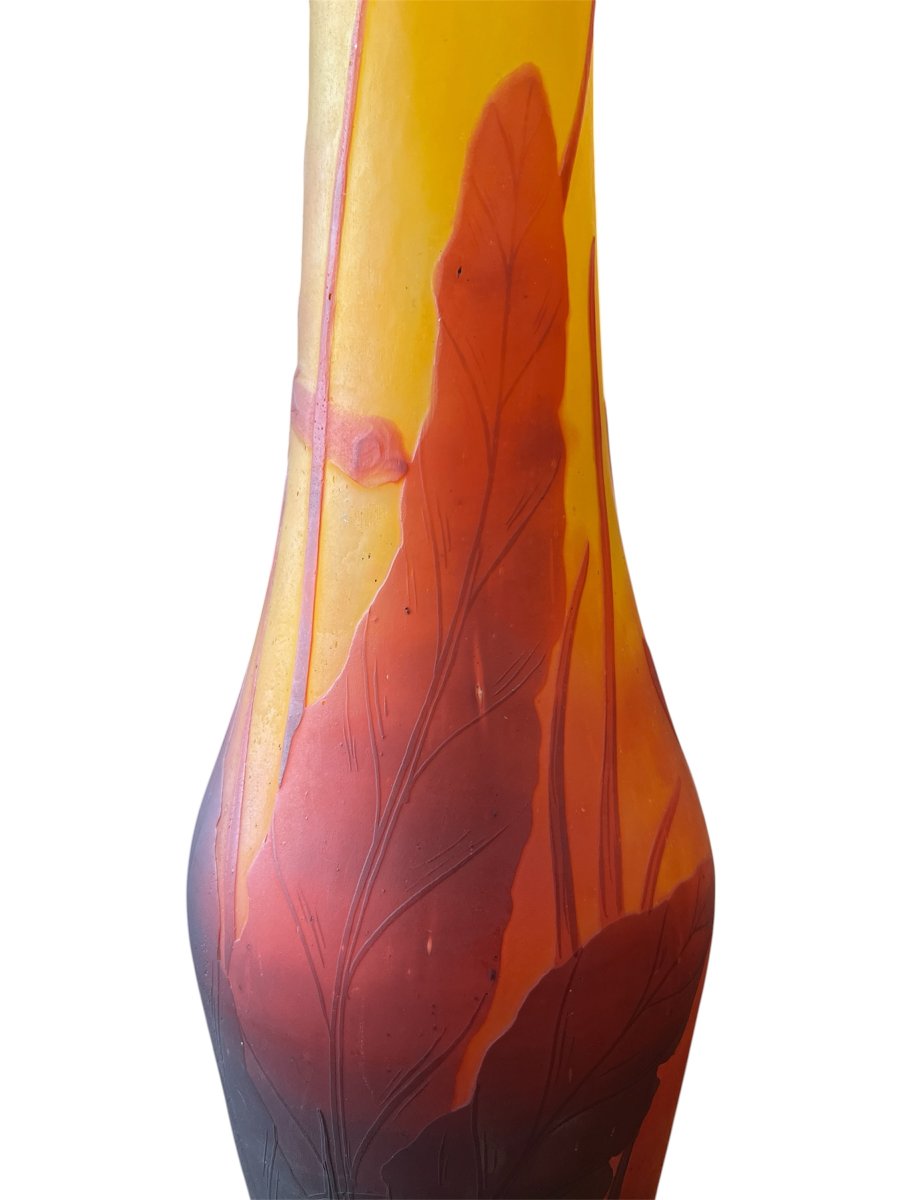 Vase Art nouveau Daum Nancy aux fleurs de tabac-photo-3