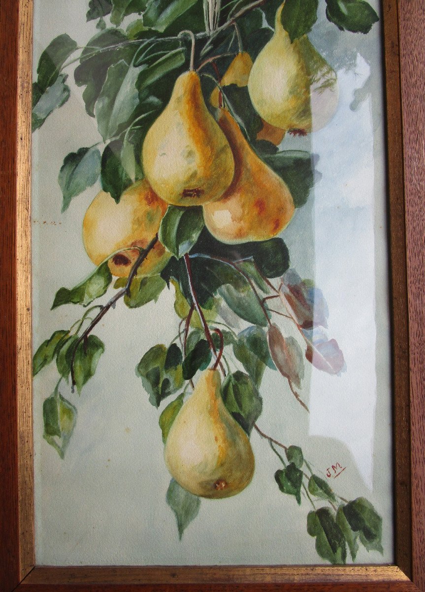 Très Belle Paire De Grandes Aquarelles Nature Morte Aux Fruits Tableau Art Nouveau Aquarelle.-photo-1