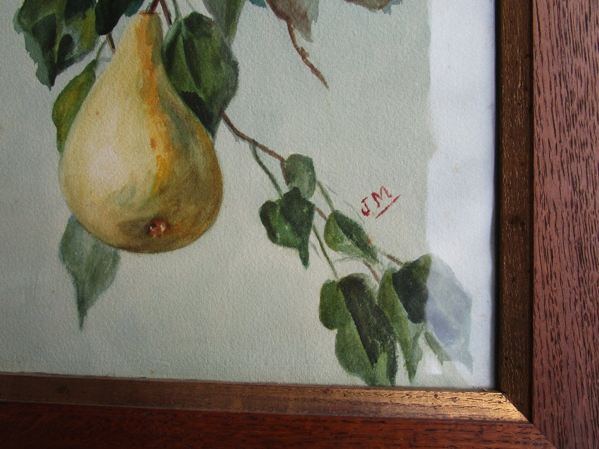 Très Belle Paire De Grandes Aquarelles Nature Morte Aux Fruits Tableau Art Nouveau Aquarelle.-photo-2