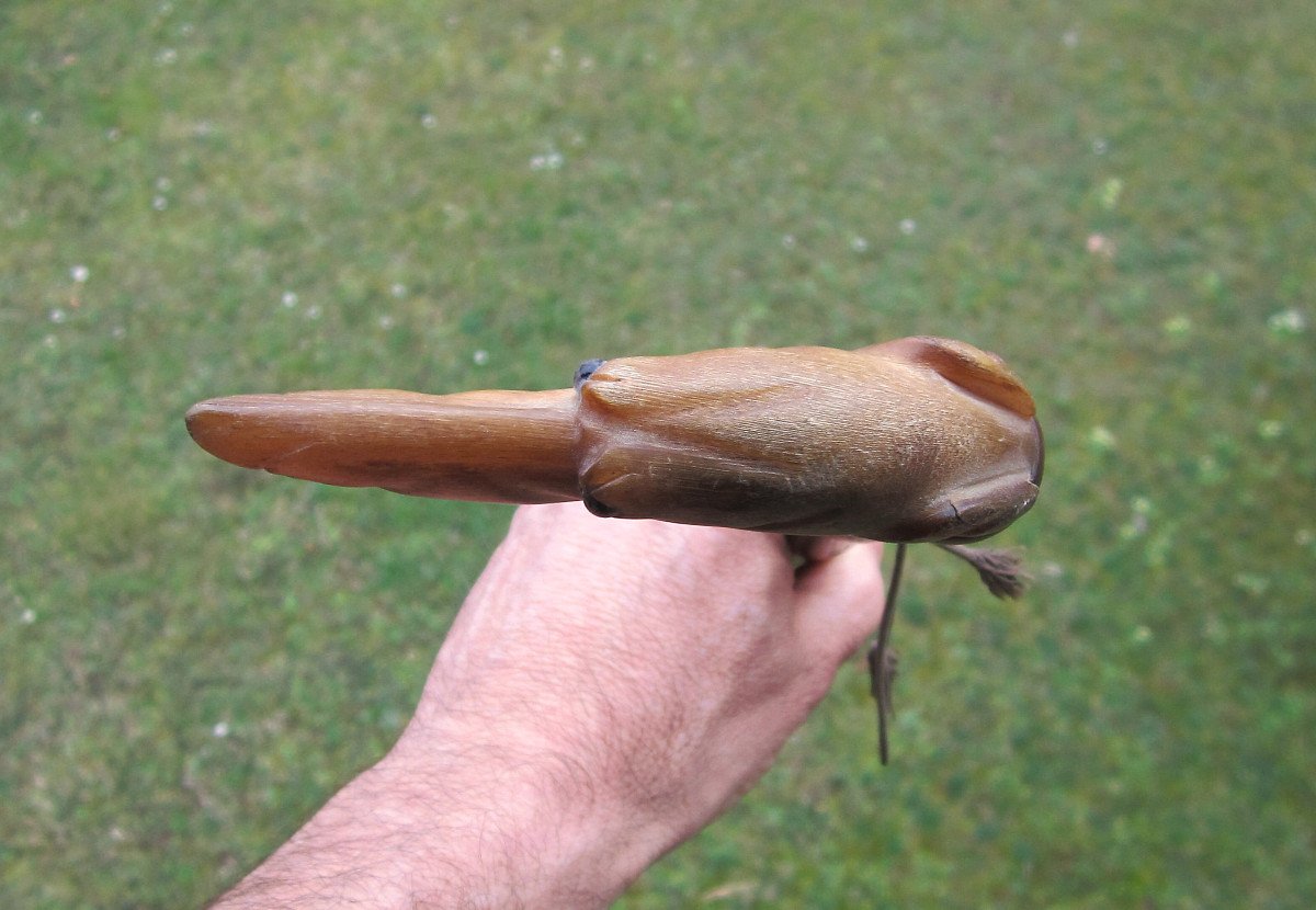 Old Beautiful 19th Century Dandy Cane, Horn Knob, Glass Eyes, Dog's Head, Greyhound.-photo-4