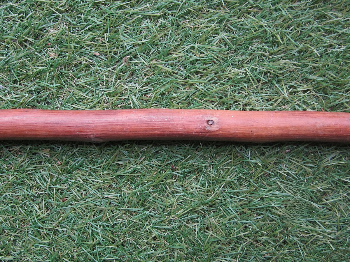 Old Beautiful 19th Century Dandy Cane, Horn Knob, Glass Eyes, Dog's Head, Greyhound.-photo-6