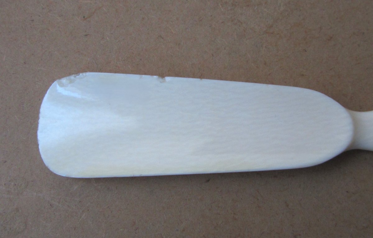 Nécessaire de toilette en ivoire 4 brosses, un chausse-pied et une pince à gants, vers 1920.-photo-6