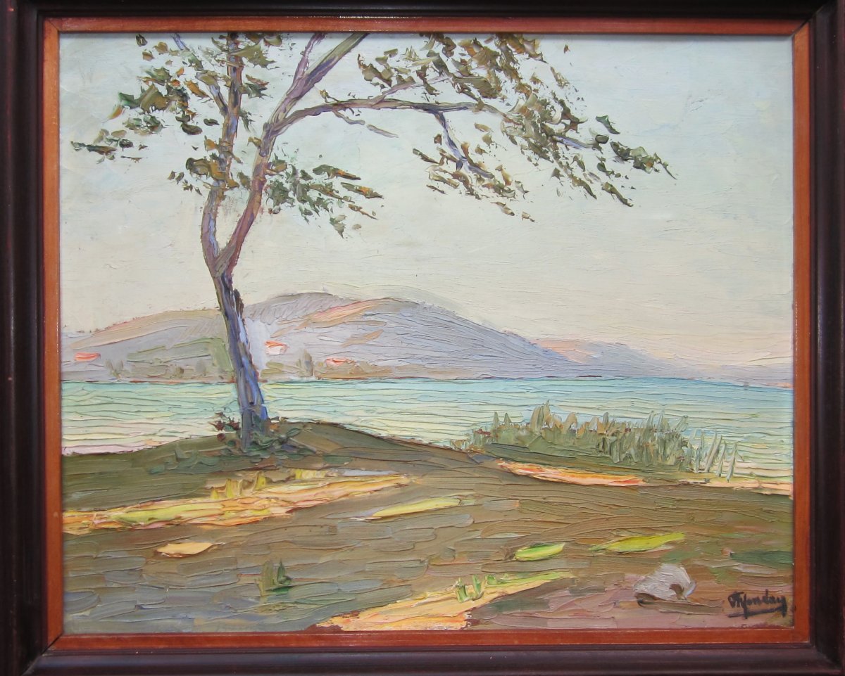 Very Bright Old Oil Painting On Wood Circa 1950, Banks Of The Rhône, Lake, Mediterranean, Nice?-photo-2