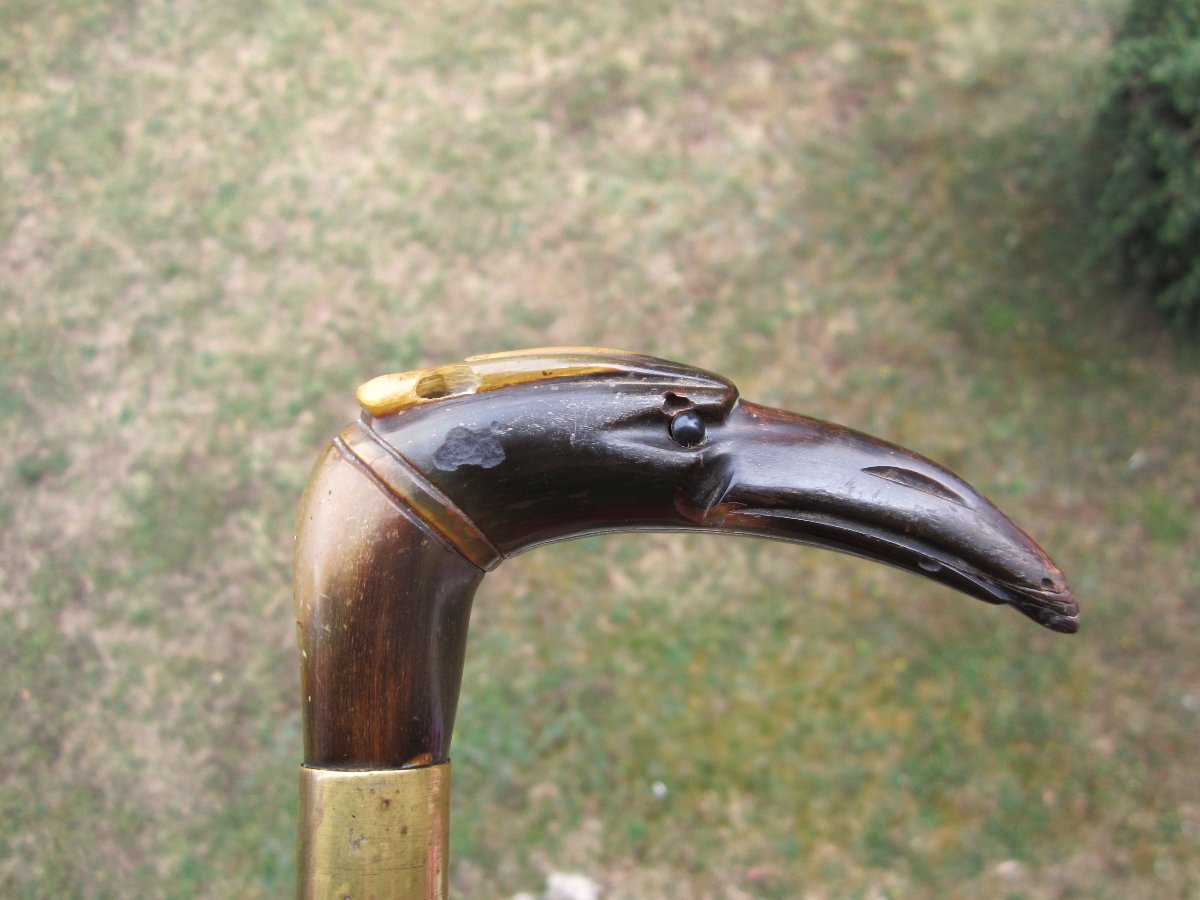 Ancienne canne de dandy en corne le pommeau représente une tête d'oiseau.-photo-5