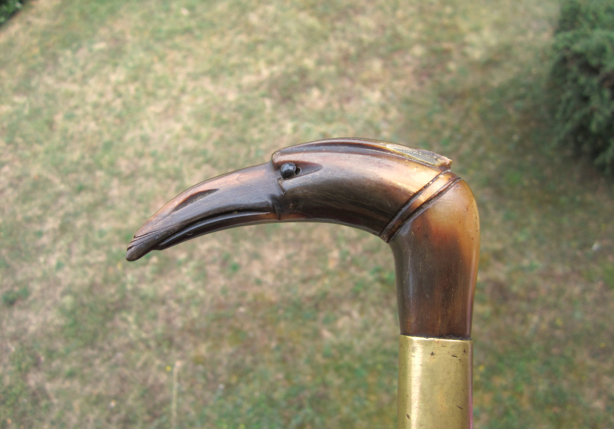 Ancienne canne de dandy en corne le pommeau représente une tête d'oiseau.