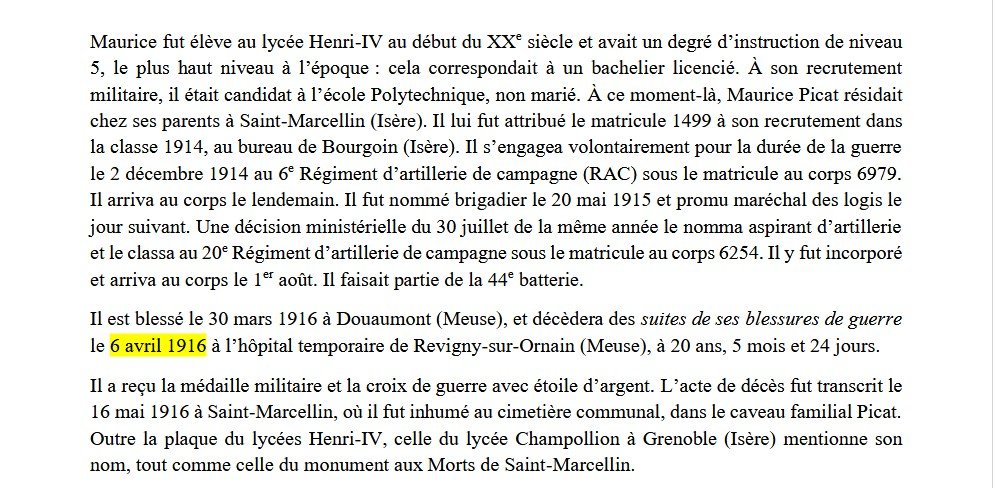 Edmond Tapissier Military Painting Portrait Of An Aspirant Who Died At Verdun In 1916, A Poilu Officer.-photo-6