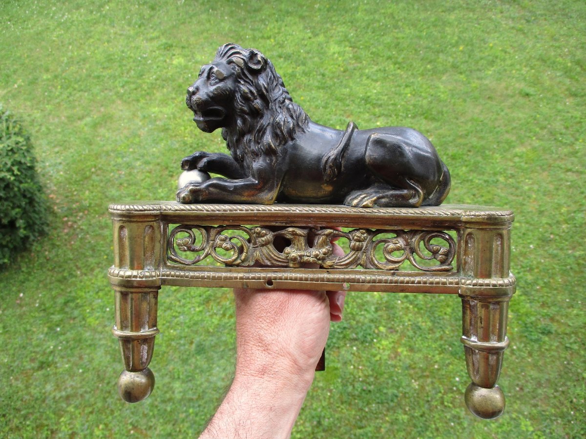 Beautiful Double Patina Bronze Chenet Head Representing A Reclining Medici Lion From The 19th Century.-photo-3
