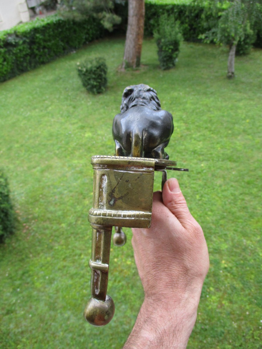 Beautiful Double Patina Bronze Chenet Head Representing A Reclining Medici Lion From The 19th Century.-photo-4