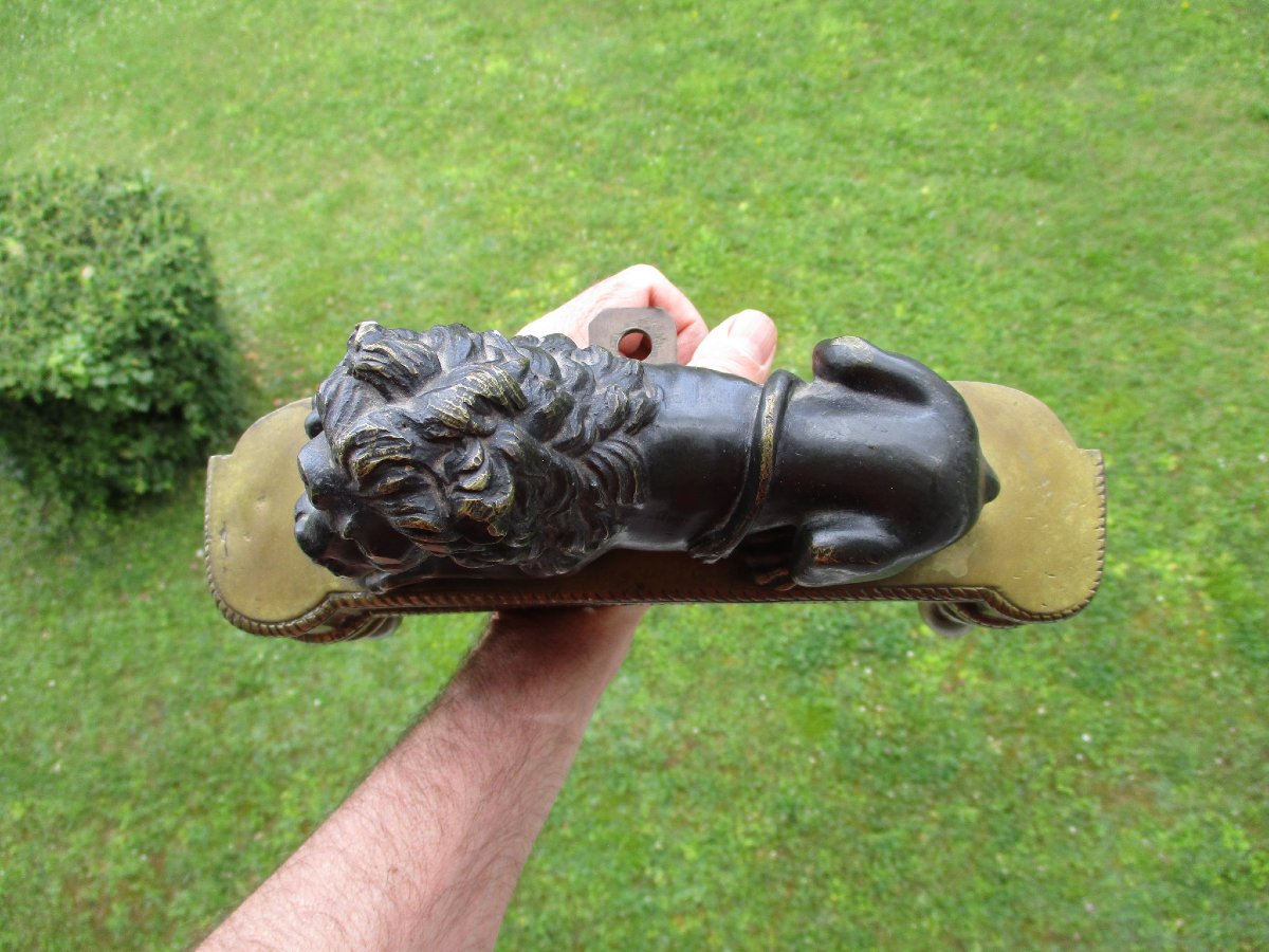 Beautiful Double Patina Bronze Chenet Head Representing A Reclining Medici Lion From The 19th Century.-photo-7