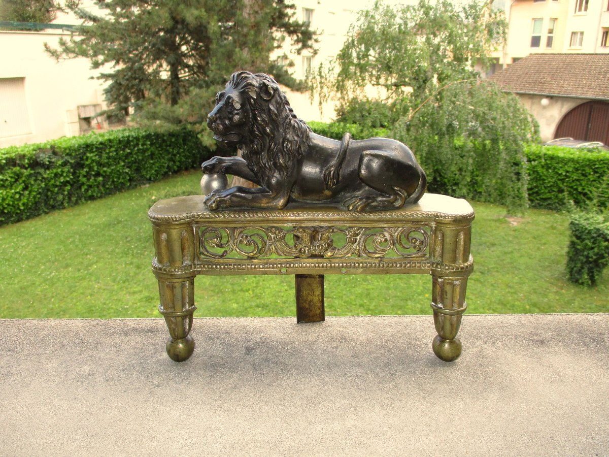 Beautiful Double Patina Bronze Chenet Head Representing A Reclining Medici Lion From The 19th Century.