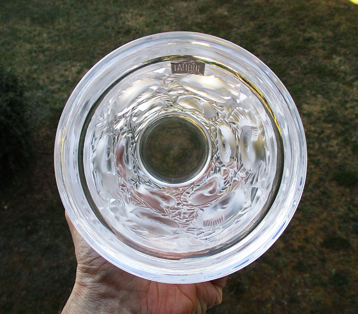 Iconique vase Bagatelle en cristal moulé-pressé satiné Lalique France modèle de René Lalique.-photo-6