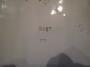 1741304-alb-69dbce98664ad.jpg