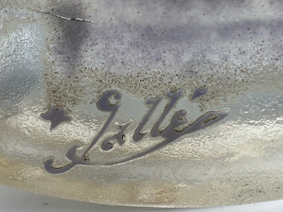  Emile Gallé - Cup With Flower Decor-photo-4