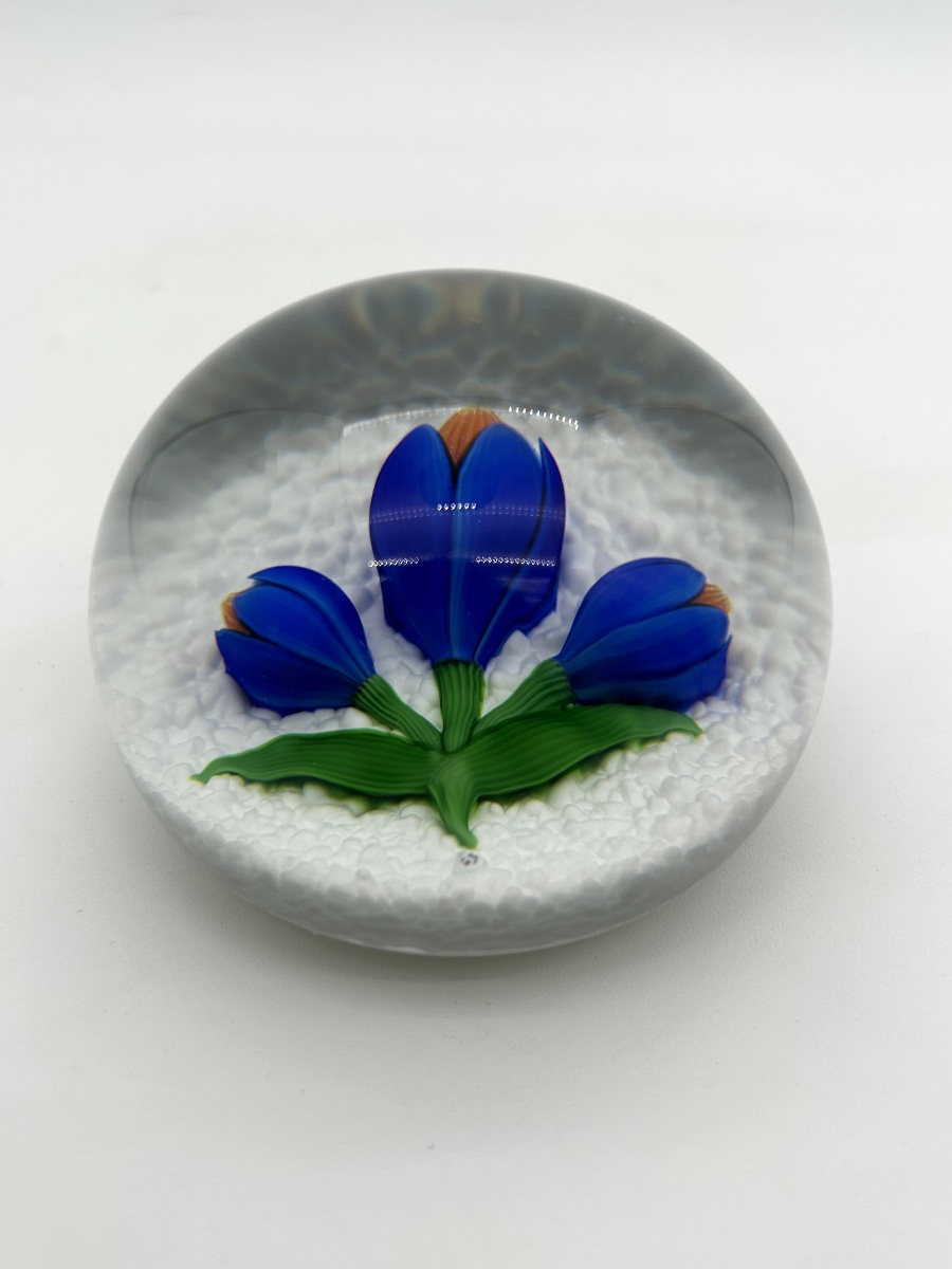 Presse-papiers crocus BACCARAT-photo-3