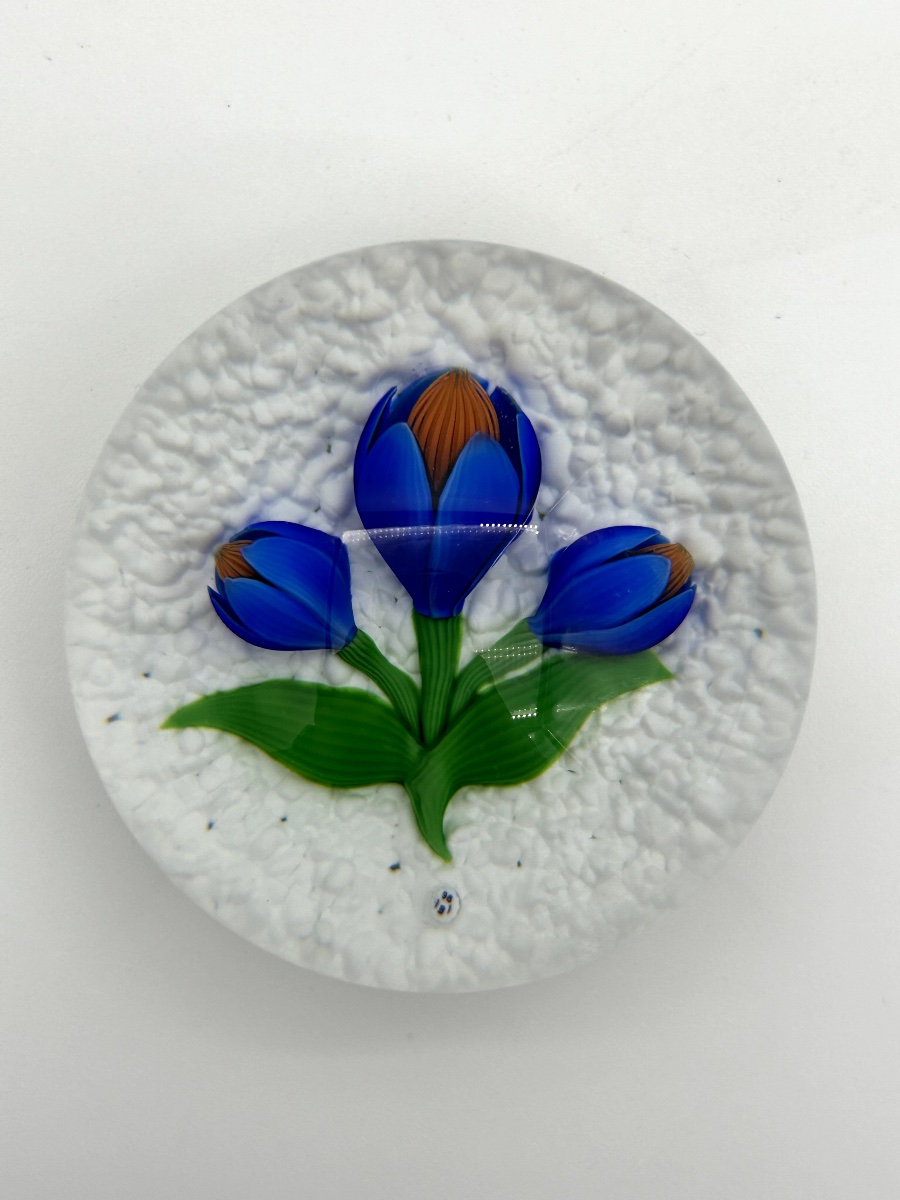 Presse-papiers crocus BACCARAT