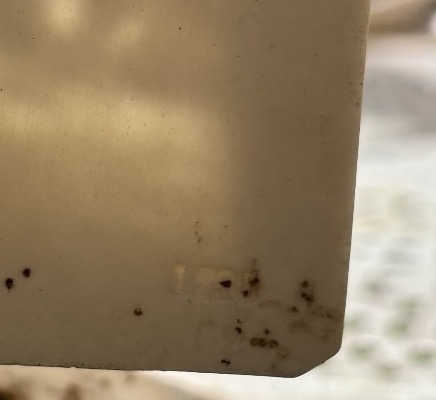Lithophanie en porcelaine - Couple dans un sous-bois - XIXème siècle-photo-1