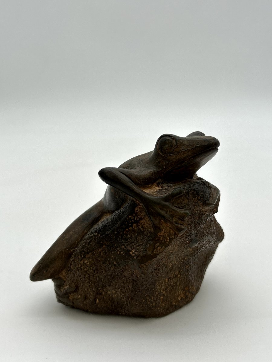 Pierre Chenet - Frog -photo-2