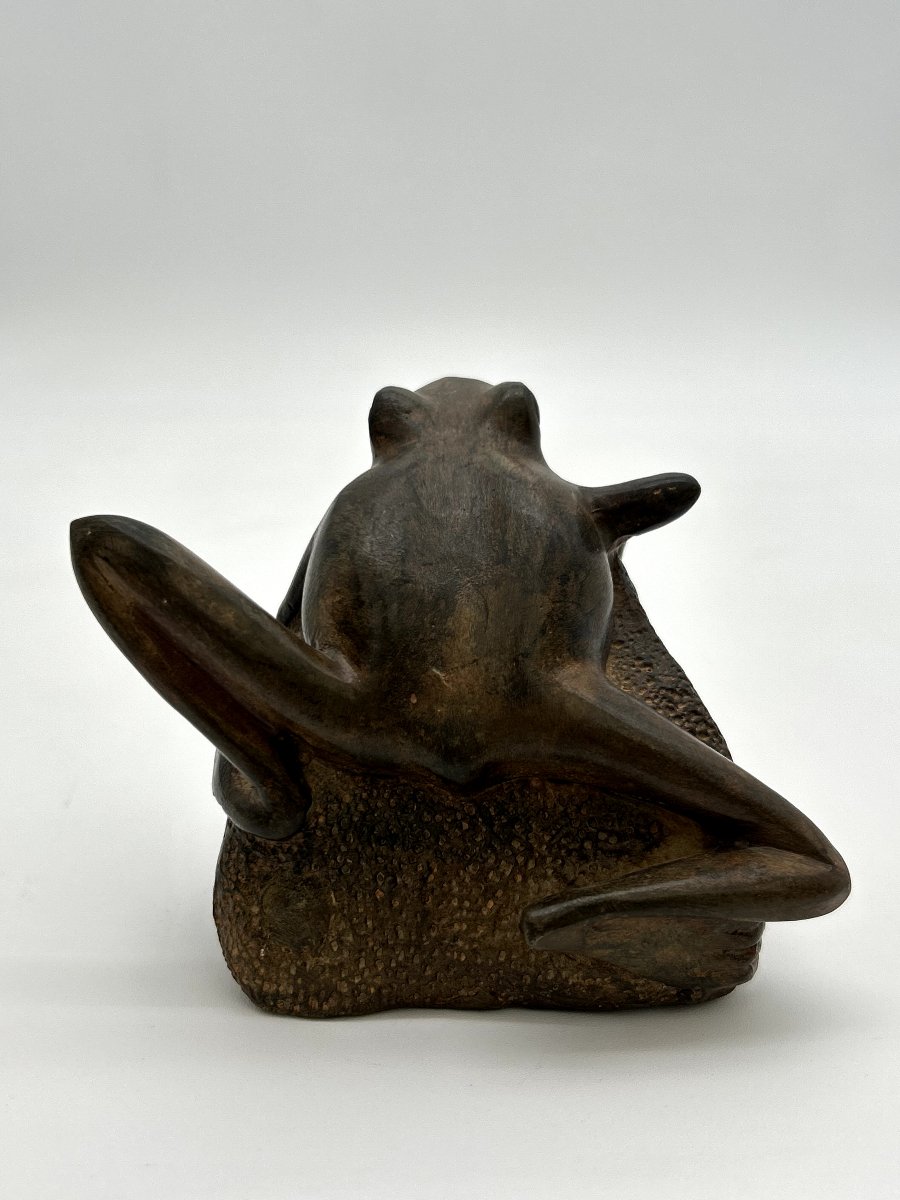 Pierre Chenet - Frog -photo-3