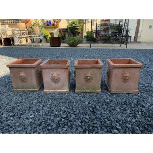 Set Of Four Square Terracotta Planters With Lion Head Decoration