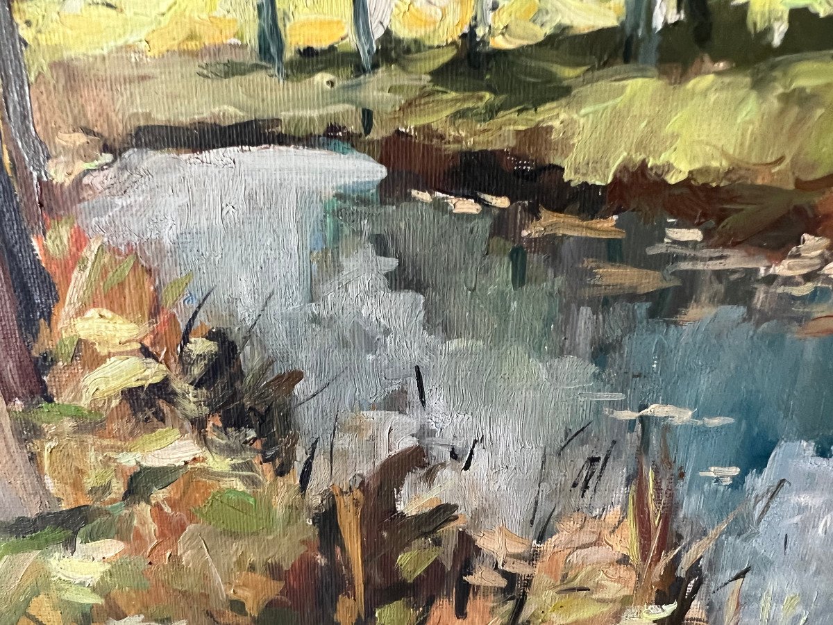 Tableau Bord De Cours d'Eau En Automne-photo-2